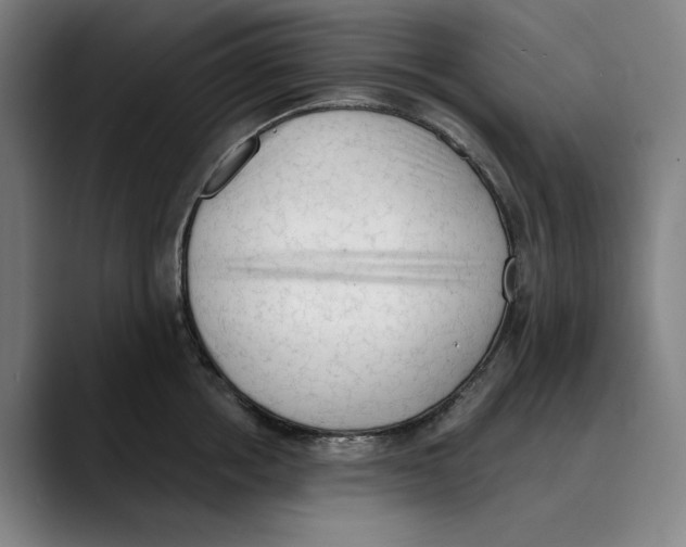 X0000089340858200707131511