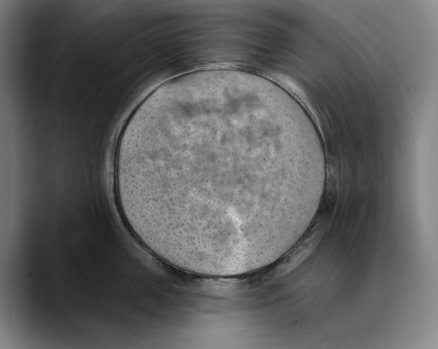 X0000089340859200707131511