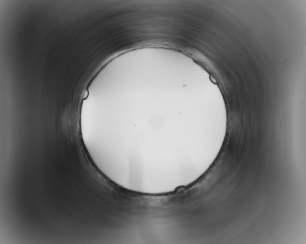 X0000089340860200707131511