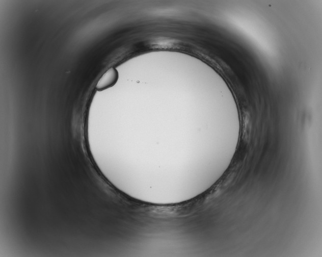 X0000089340861200707131511