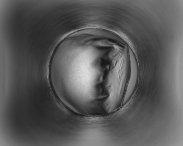 X0000089340862200707131511