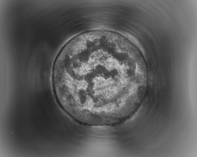 X0000089340863200707131511
