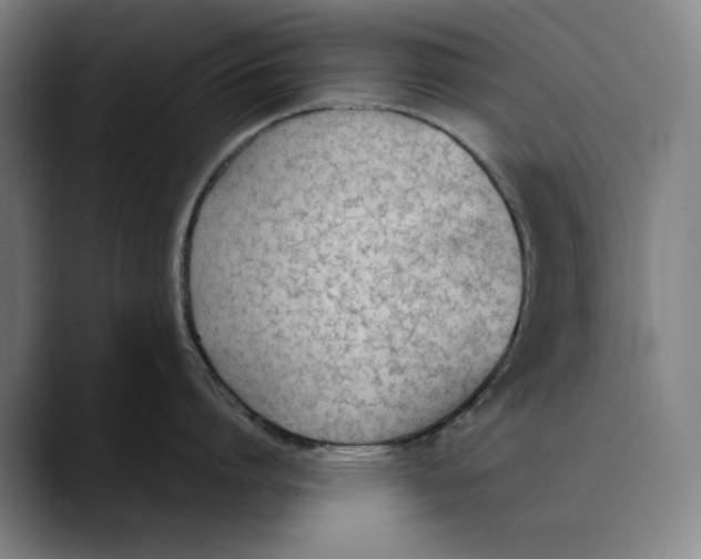 X0000089340864200707131511