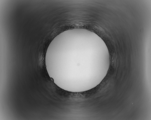 X0000089340866200707131510