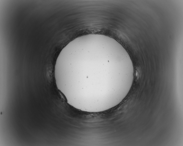 X0000089340867200707131510