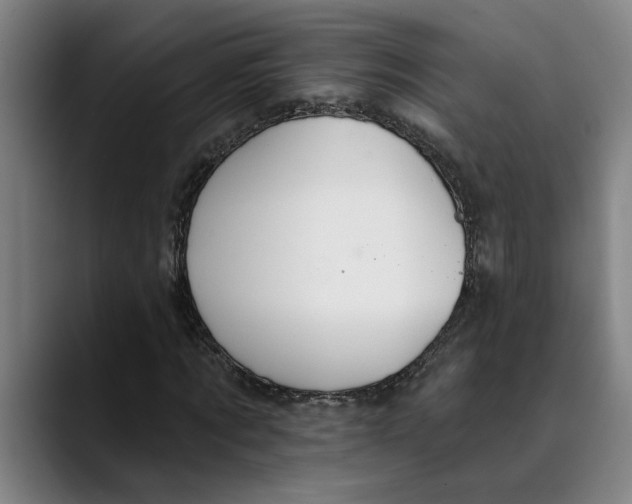 X0000089340869200707131510