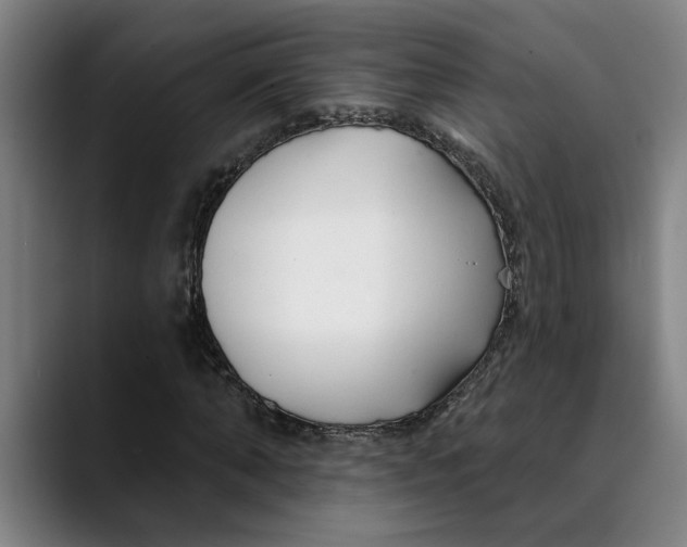 X0000089340870200707131510