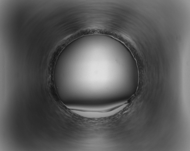 X0000089340872200707131510