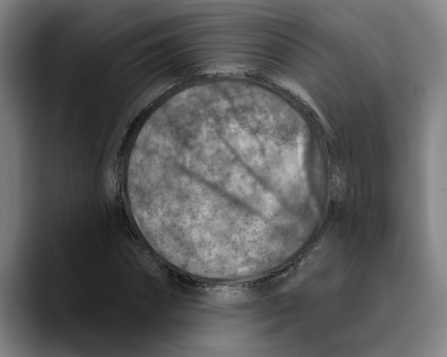 X0000089340874200707131510