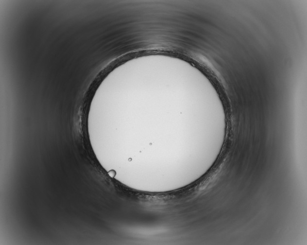 X0000089340875200707131510