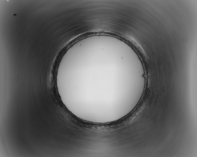 X0000089340876200707131510