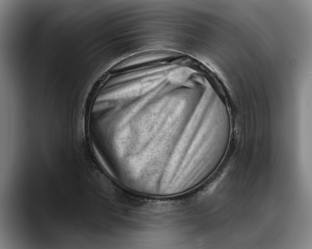 X0000089340877200707131510
