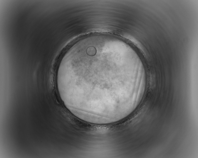 X0000089340878200707131510