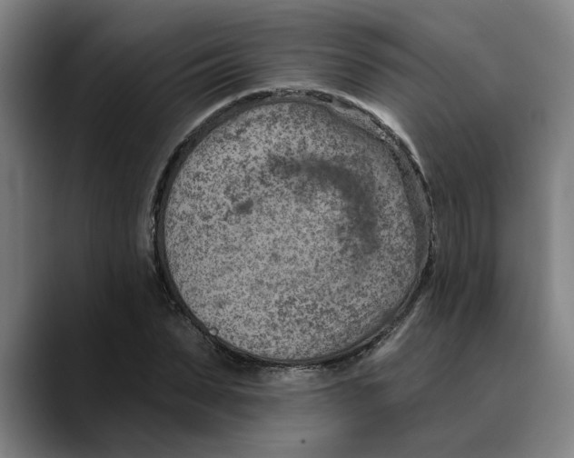 X0000089340879200707131510