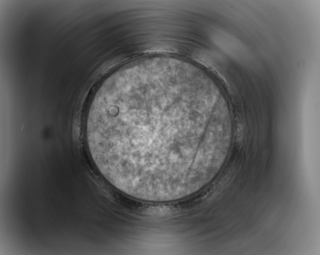 X0000089340882200707131510