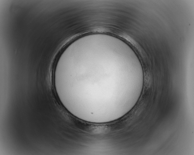 X0000089340886200707131510