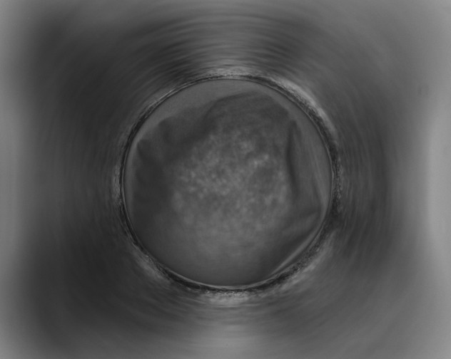 X0000089340889200707131510