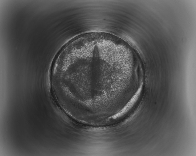 X0000089340892200707131510