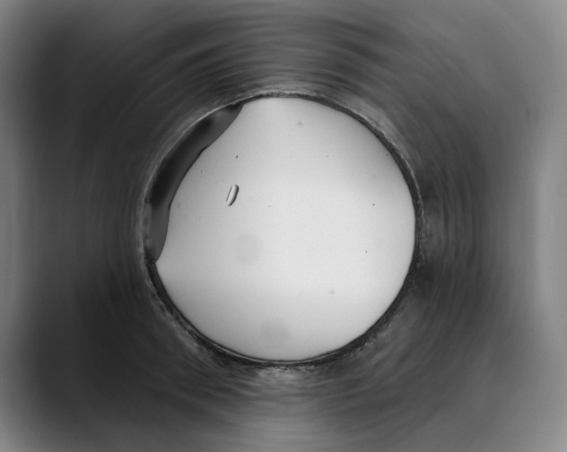 X0000089340898200707131510