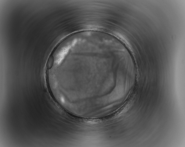 X0000089340899200707131510