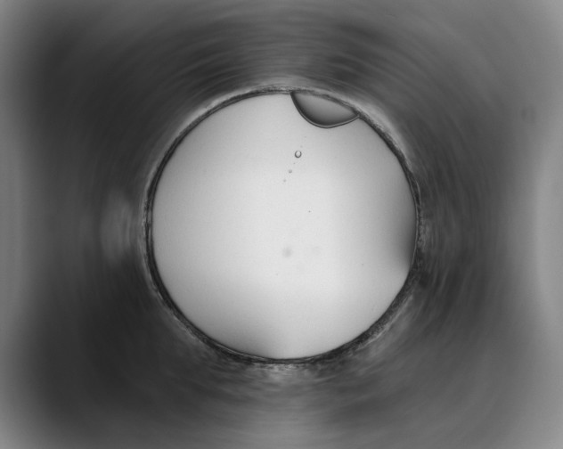 X0000089340903200707131510