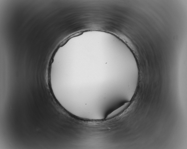 X0000089340904200707131510