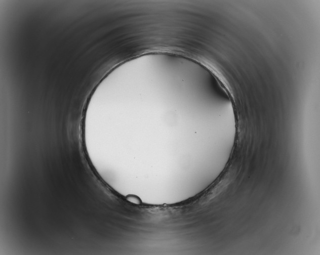 X0000089340906200707131510