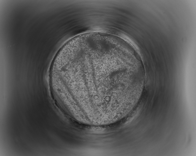 X0000089340907200707131510
