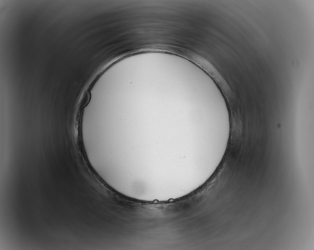 X0000089340908200707131510