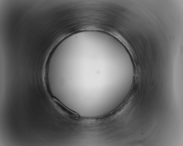 X0000089340909200707131510