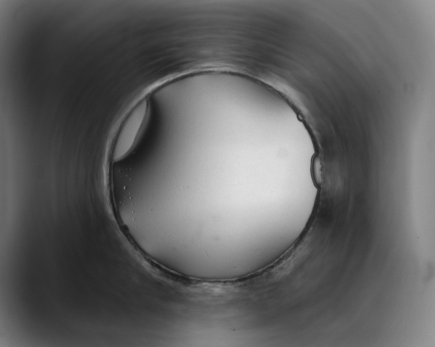 X0000089340910200707131510