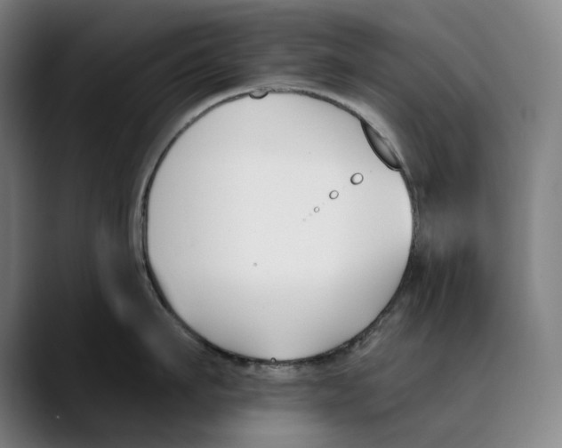 X0000089340911200707131510