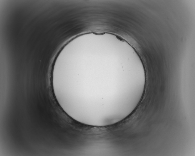 X0000089340912200707131510