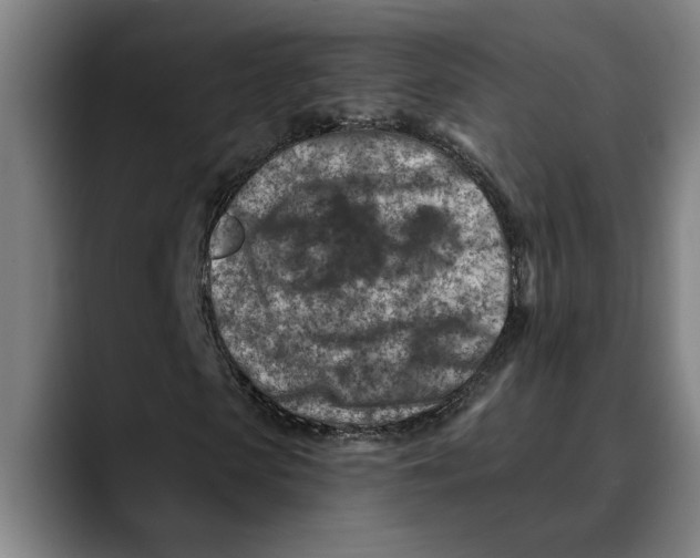 X0000089340913200707131509
