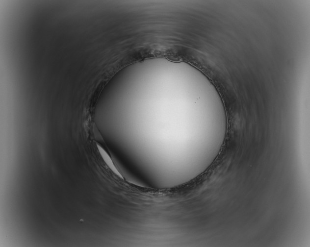 X0000089340914200707131509