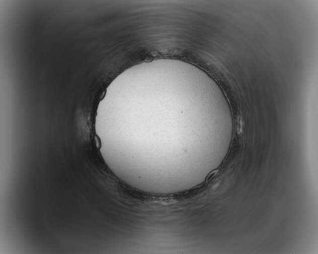 X0000089340915200707131509