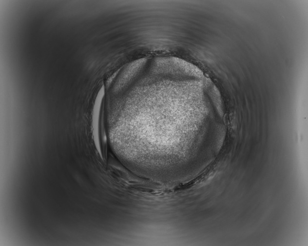 X0000089340916200707131509