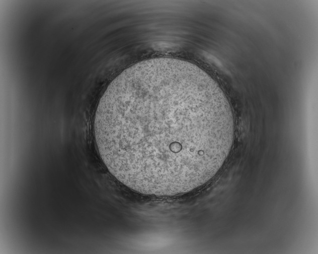 X0000089340917200707131509