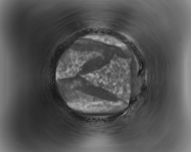 X0000089340919200707131509