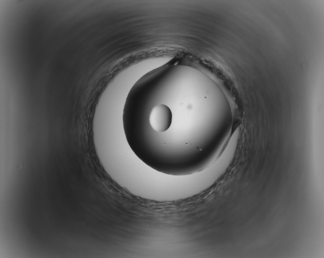 X0000089340920200707131509