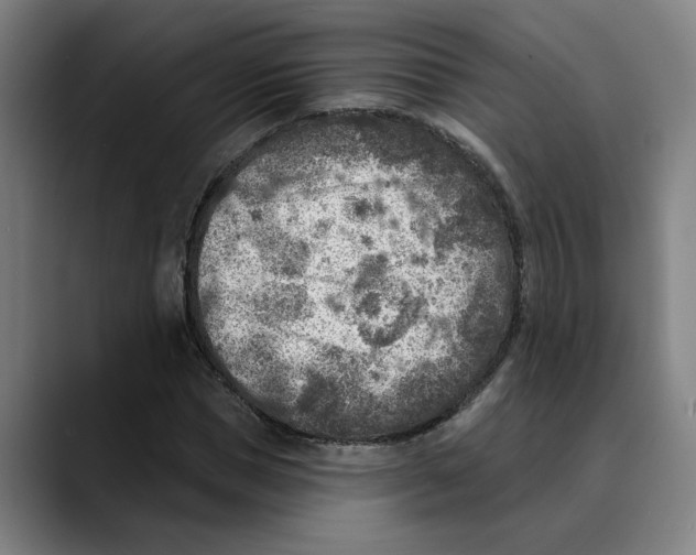 X0000089340921200707131509
