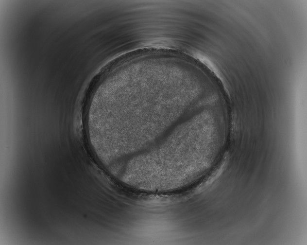 X0000089340923200707131509