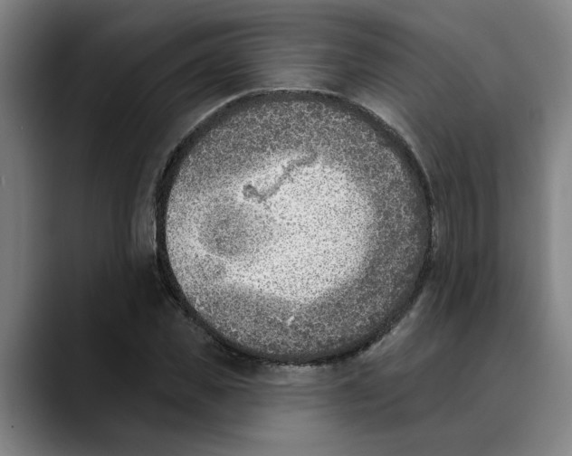 X0000089340925200707131509
