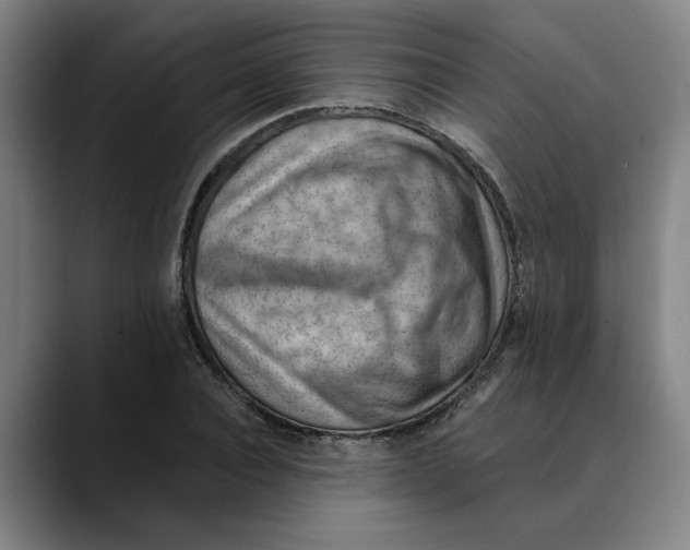 X0000089340928200707131509