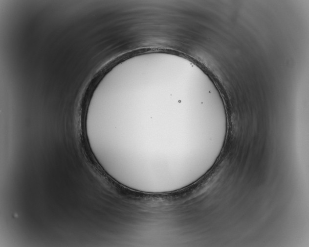 X0000089340931200707131509