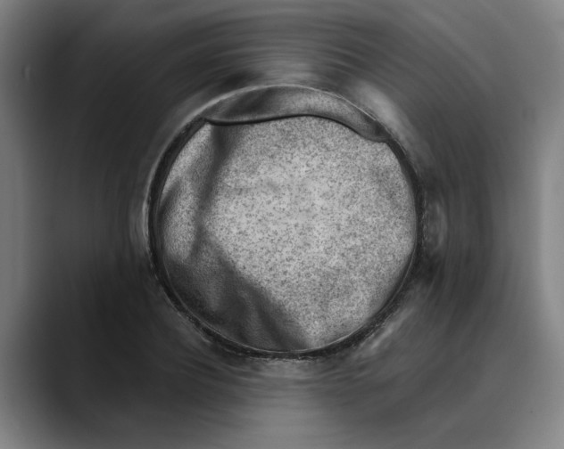 X0000089340932200707131509