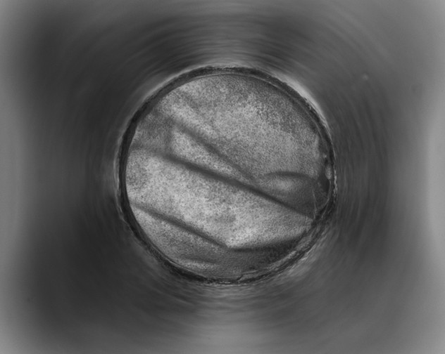 X0000089340935200707131509