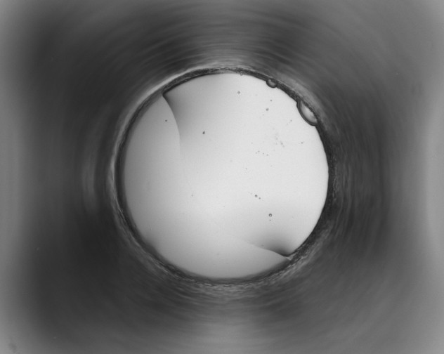 X0000089340936200707131509