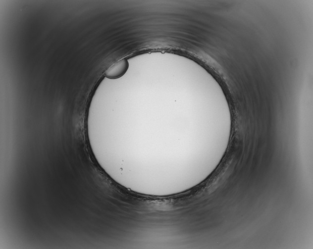 X0000089340937200707131509