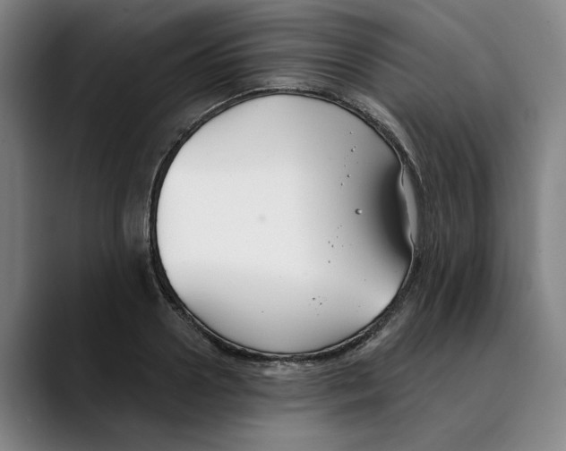 X0000089340938200707131509